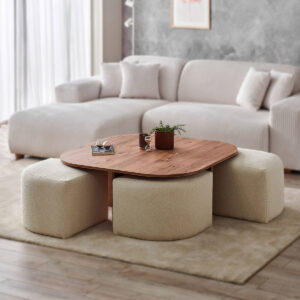 LAU Fonksiyonel Sehpa ve Puf Takımı